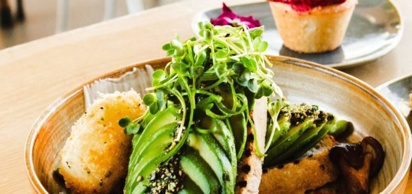 Good Brain Food – pożywienie dla mózgu i pamięci